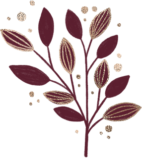 Burgundy plant